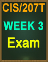 CIS/207 Wk 3  Exam